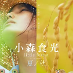 [夸克网盘] 日本电影《小森林 夏秋篇》 (2014)
